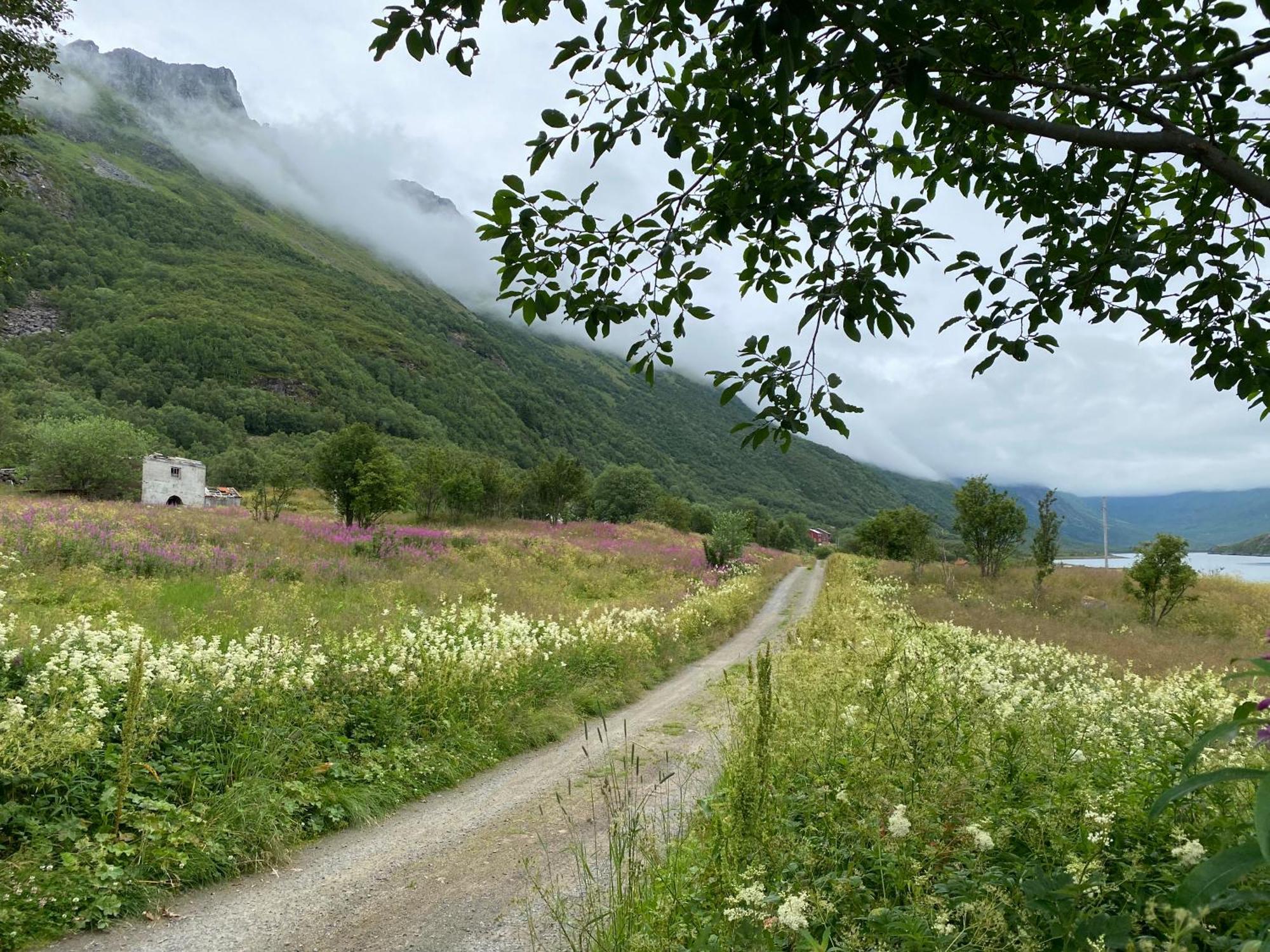 Urda Wilderness House 빌라 외부 사진